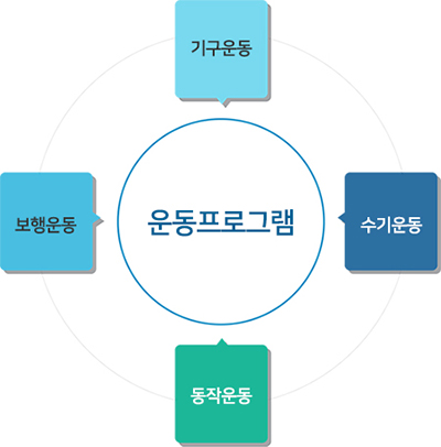 맞춤 운동프로그램